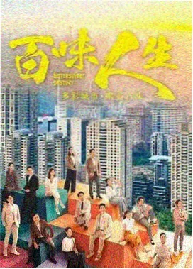 热播电视剧